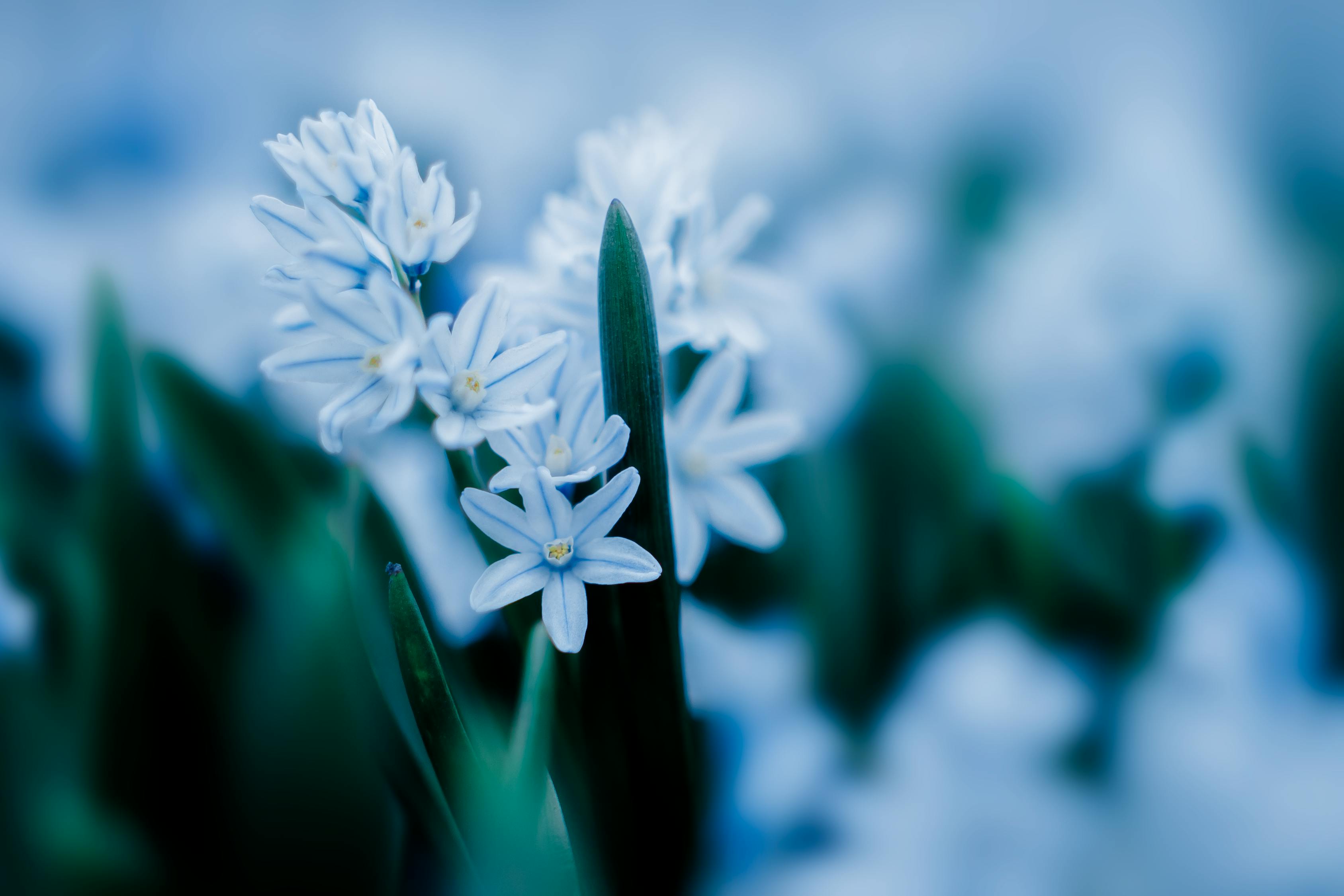 流水节拍，自然之韵与生活之舞  流水节拍