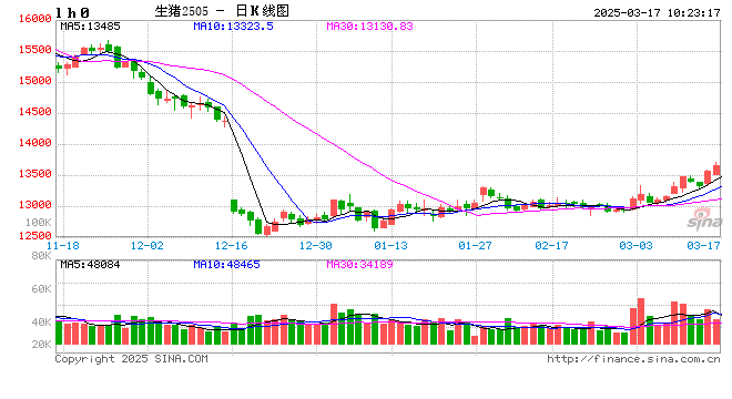 【市场聚焦】生猪：2025年2月生猪销售数据解读